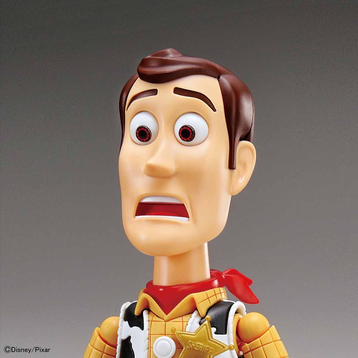 Toy Story 4 - Woody