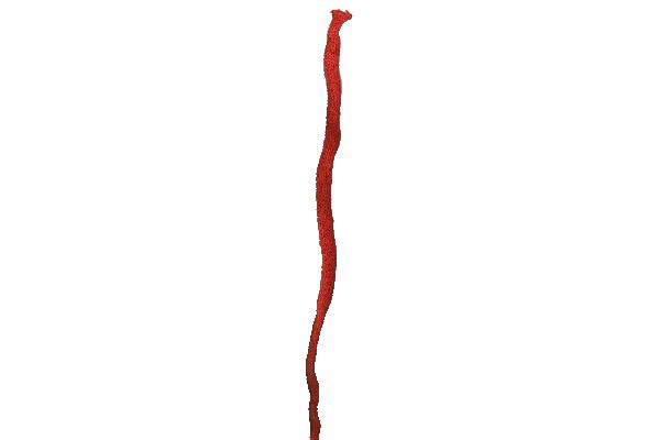 Tubestrik 10m 1cm rød