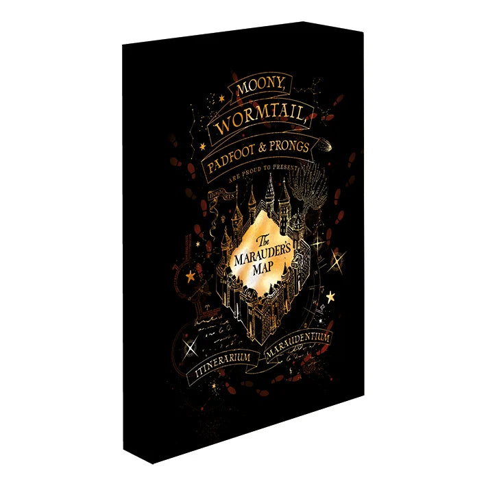 HARRY POTTER - Marauders Map - Light Canvas 40X30 Cm