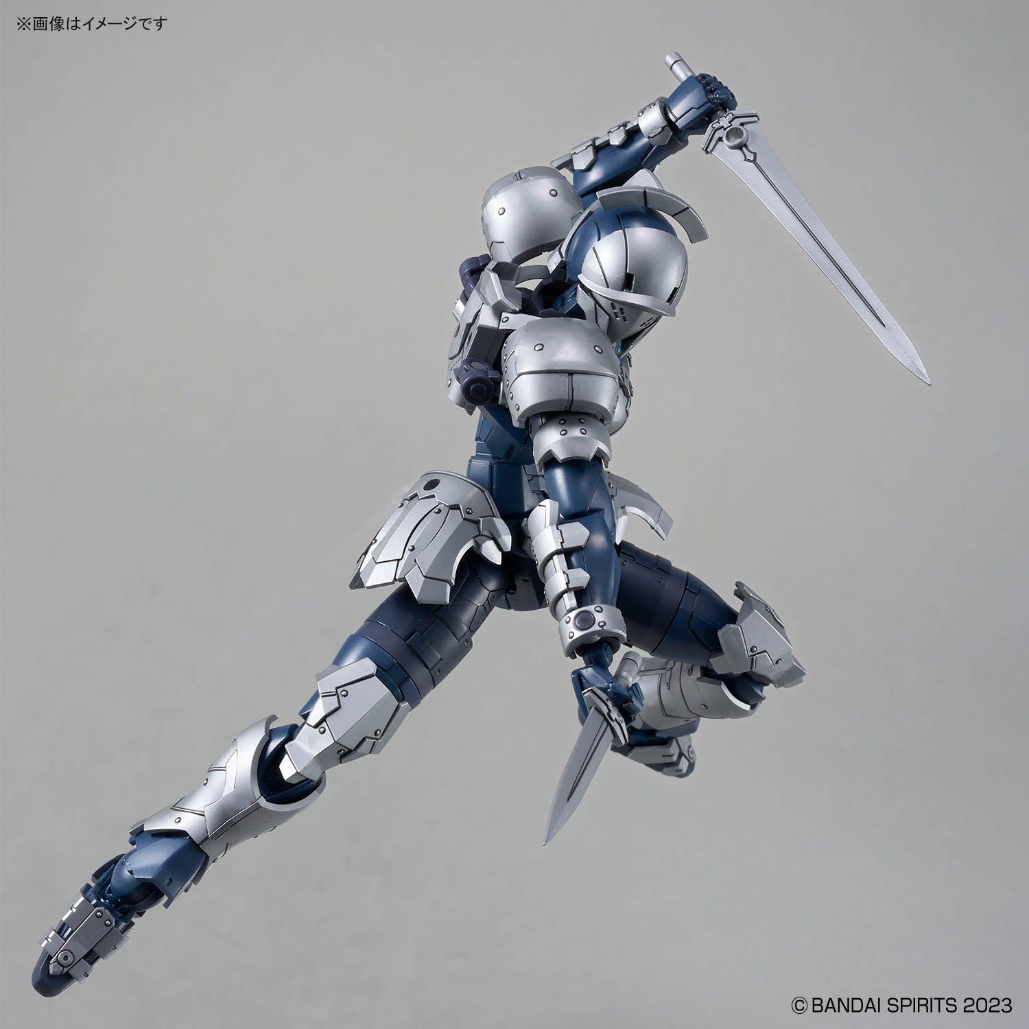 30mf Rosan Swordman