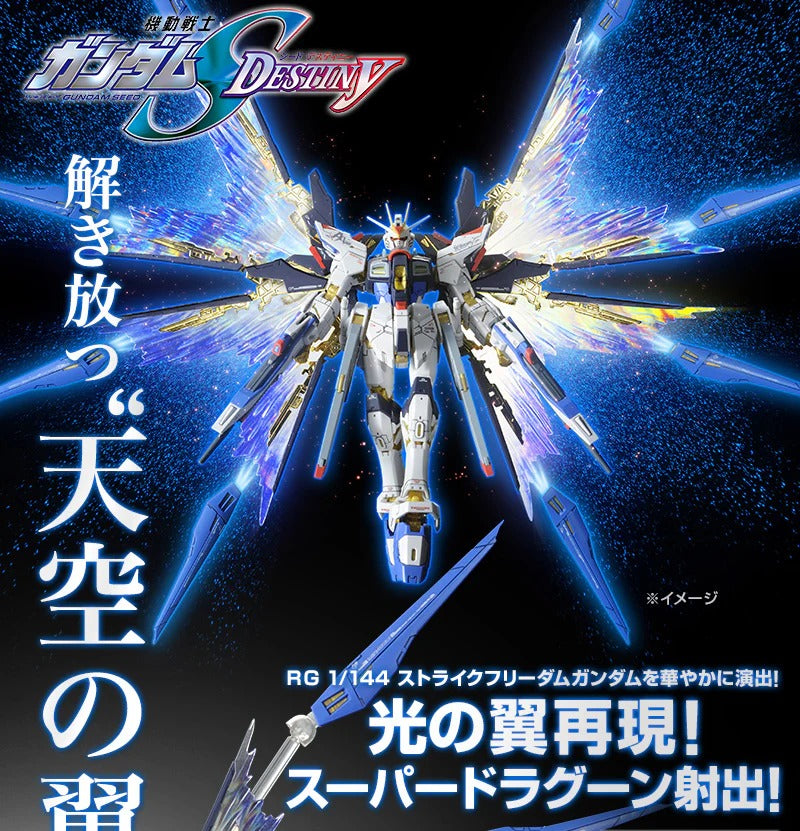 RG 1/144 Strike Freedom Gundam expansion effect unit “Wings of the Skies”