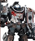 Warhammer 40k Action Figure 1/18 Grey Knights Terminator Caddon Vibova 13 cm