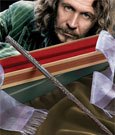 Harry Potter - Sirius Black´s Wand