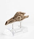 Jurassic Park III Prop Replica 1/1 Velociraptor Resonance Chamber 18 cm
