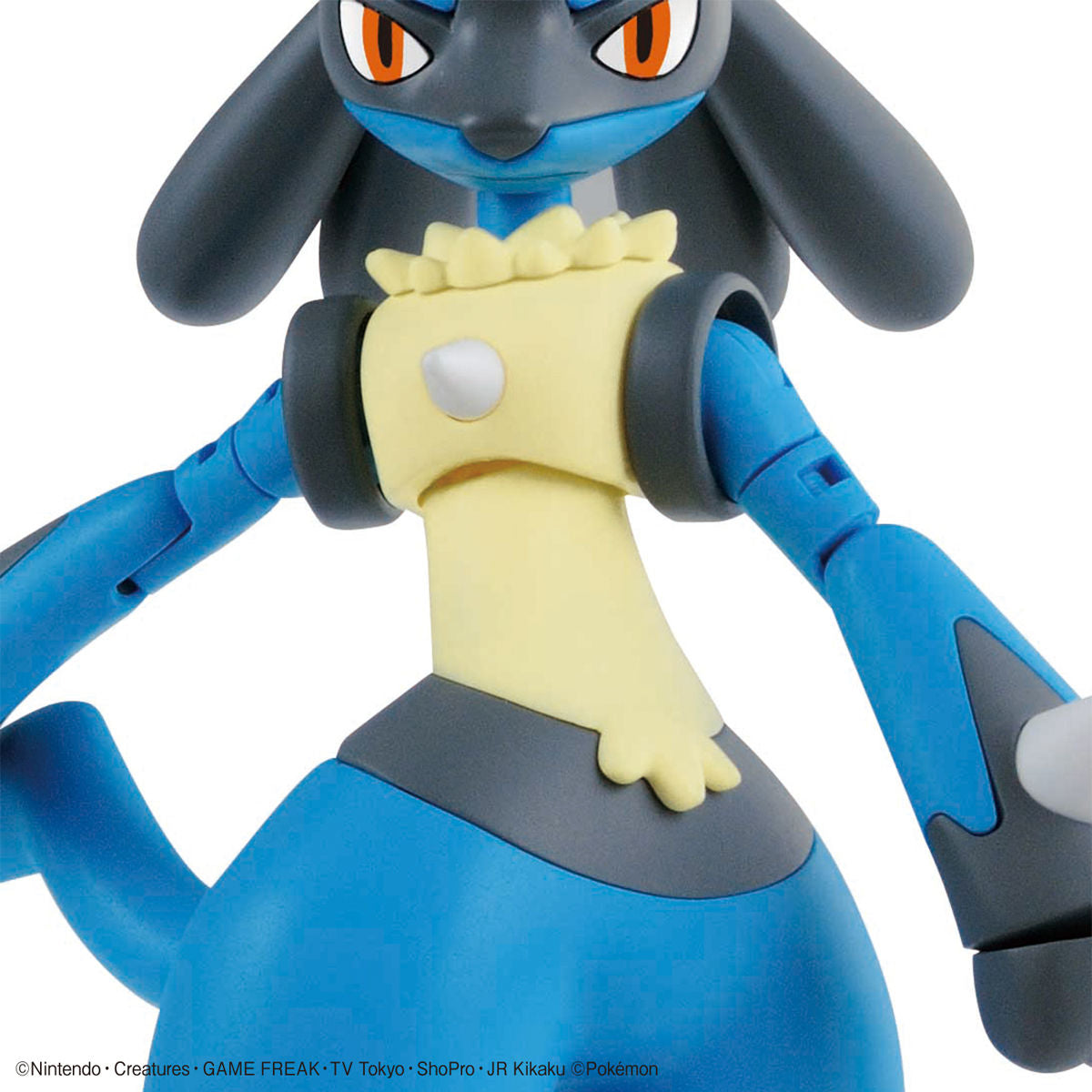 Pokémon Riolu & Lucario