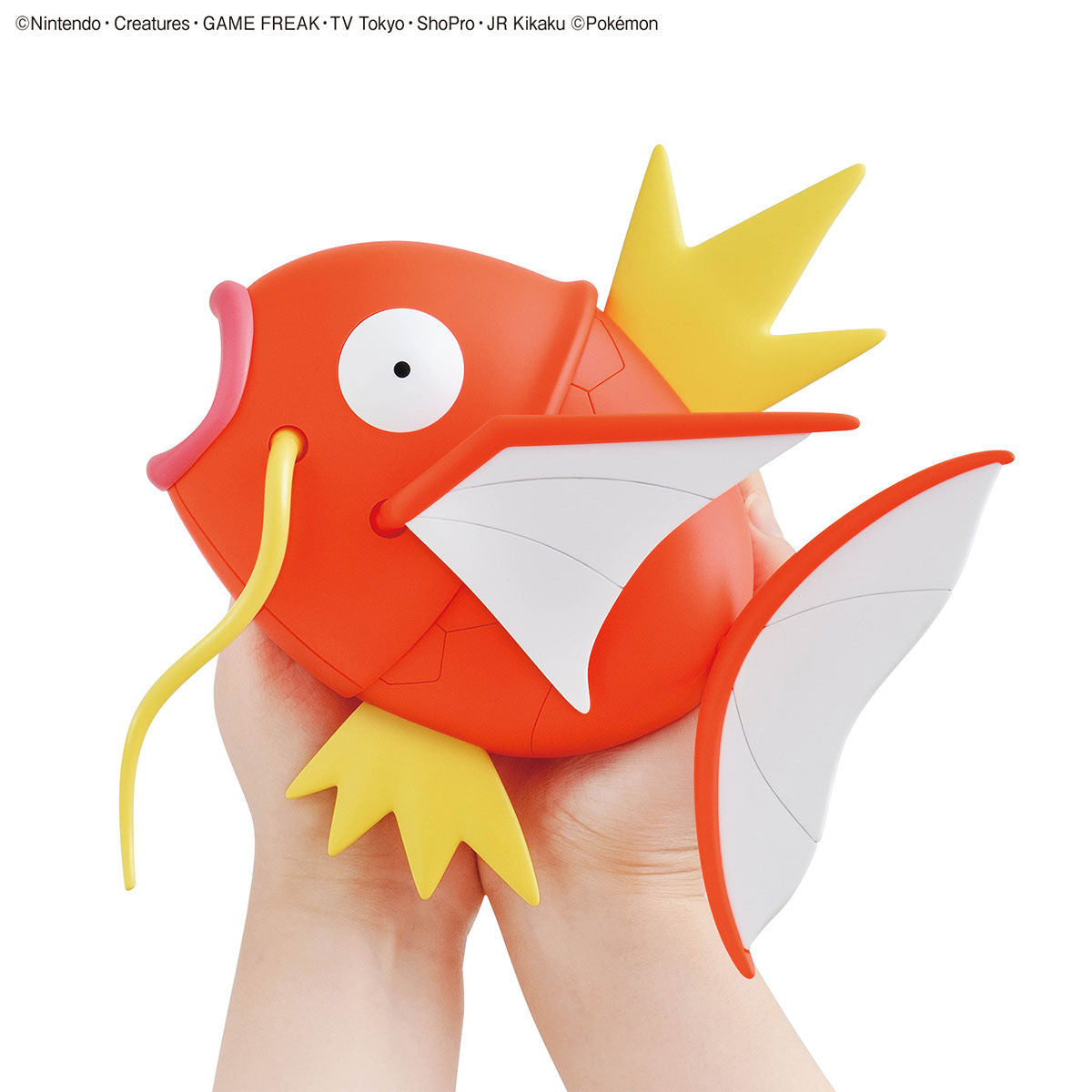 Pokémon Margikarp