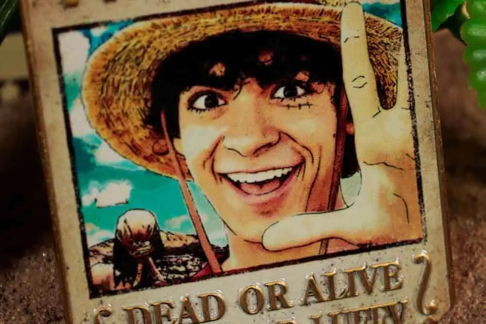 ONE PIECE - WANTED POSTER - LIMITED EDITION INGOT