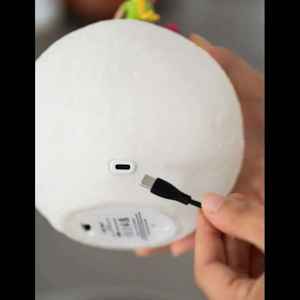 LITTLE PRINCE LAMP