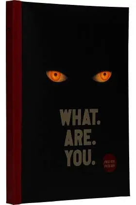 IT WELCOME TO DERRY WHAT ARE YOU LIGHT NOTEBOOK