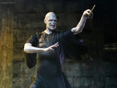 HARRY POTTER LEGACY COLLECTION VOLDEMORT BY