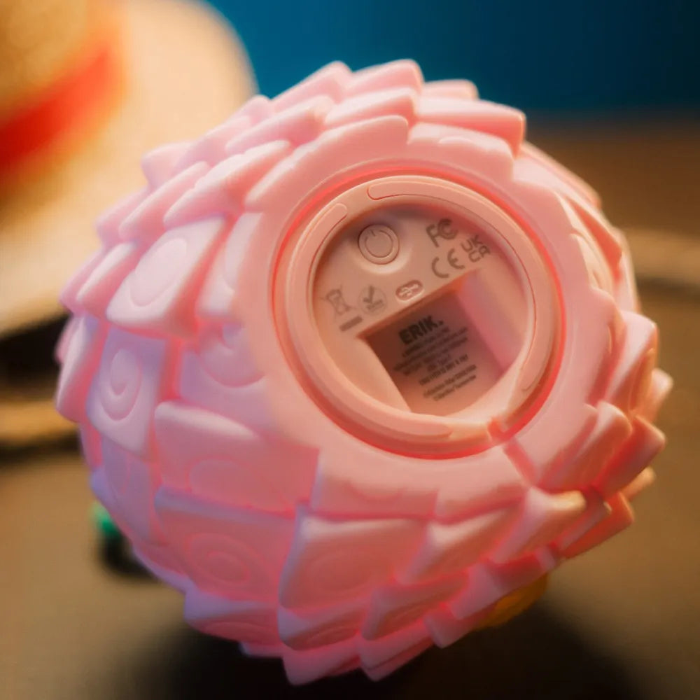 ONE PIECE NETFLIX FLOWER FLOWER FRUIT LAMP