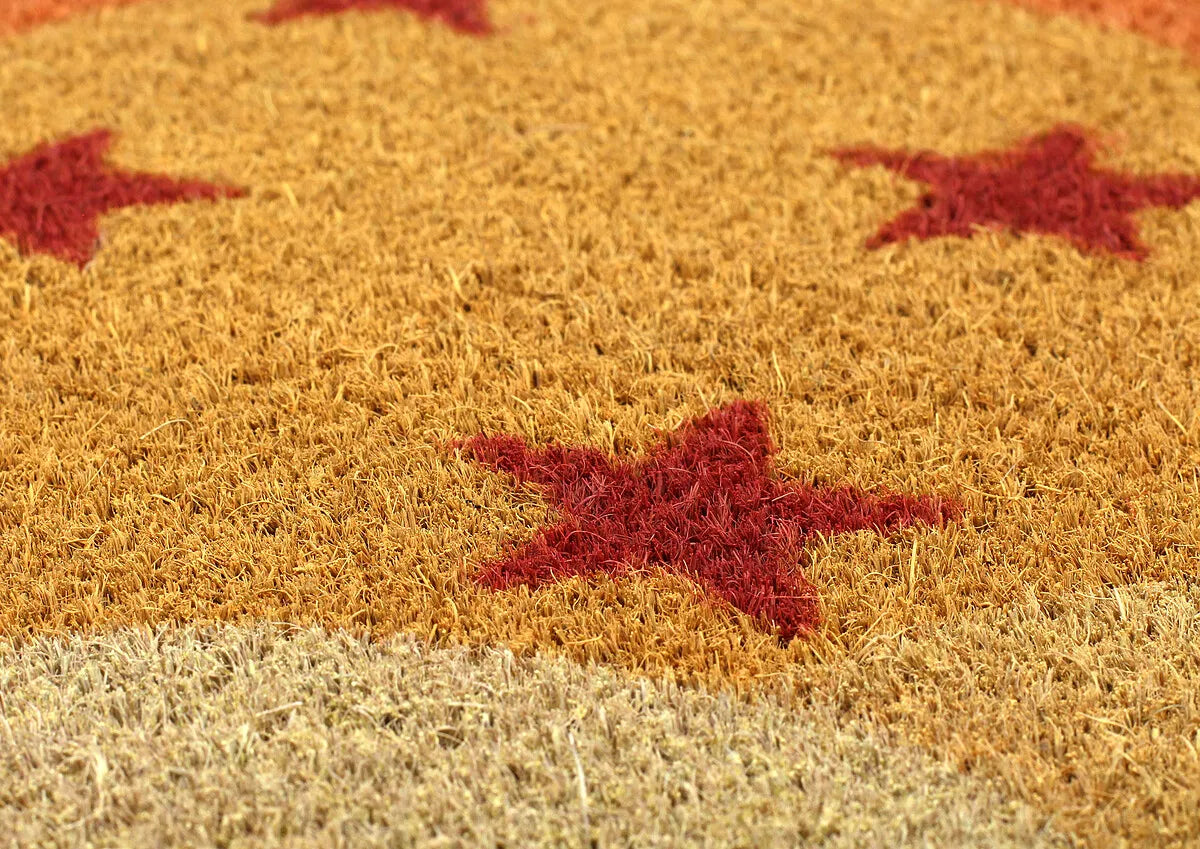 DRAGON BALL 4 STARS ROUND DOORMAT