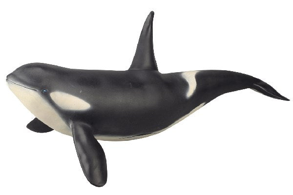 Killer whale 65x26x25cm