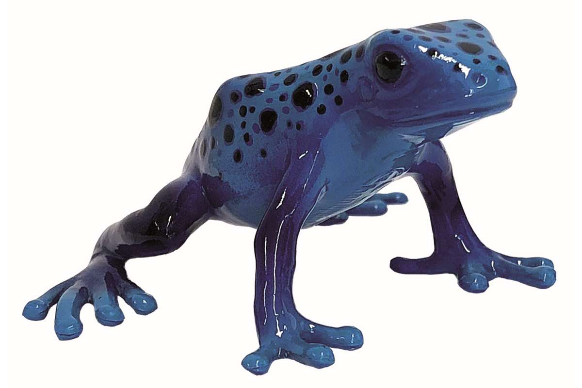 Poison Dart Frog Azureus 6,1x2x504cm