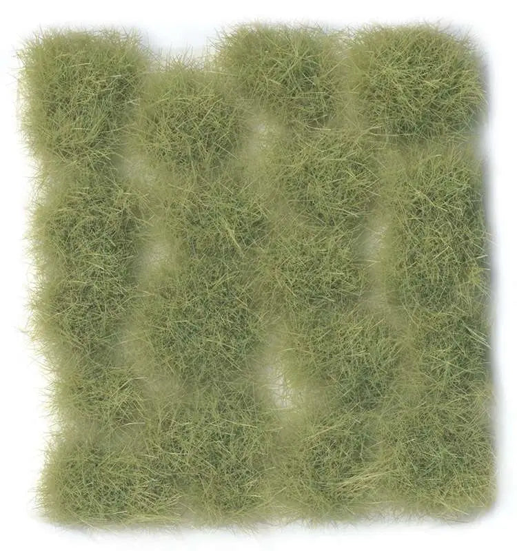 TUFT WILD SC426 LIGHT GREEN EX LARGE