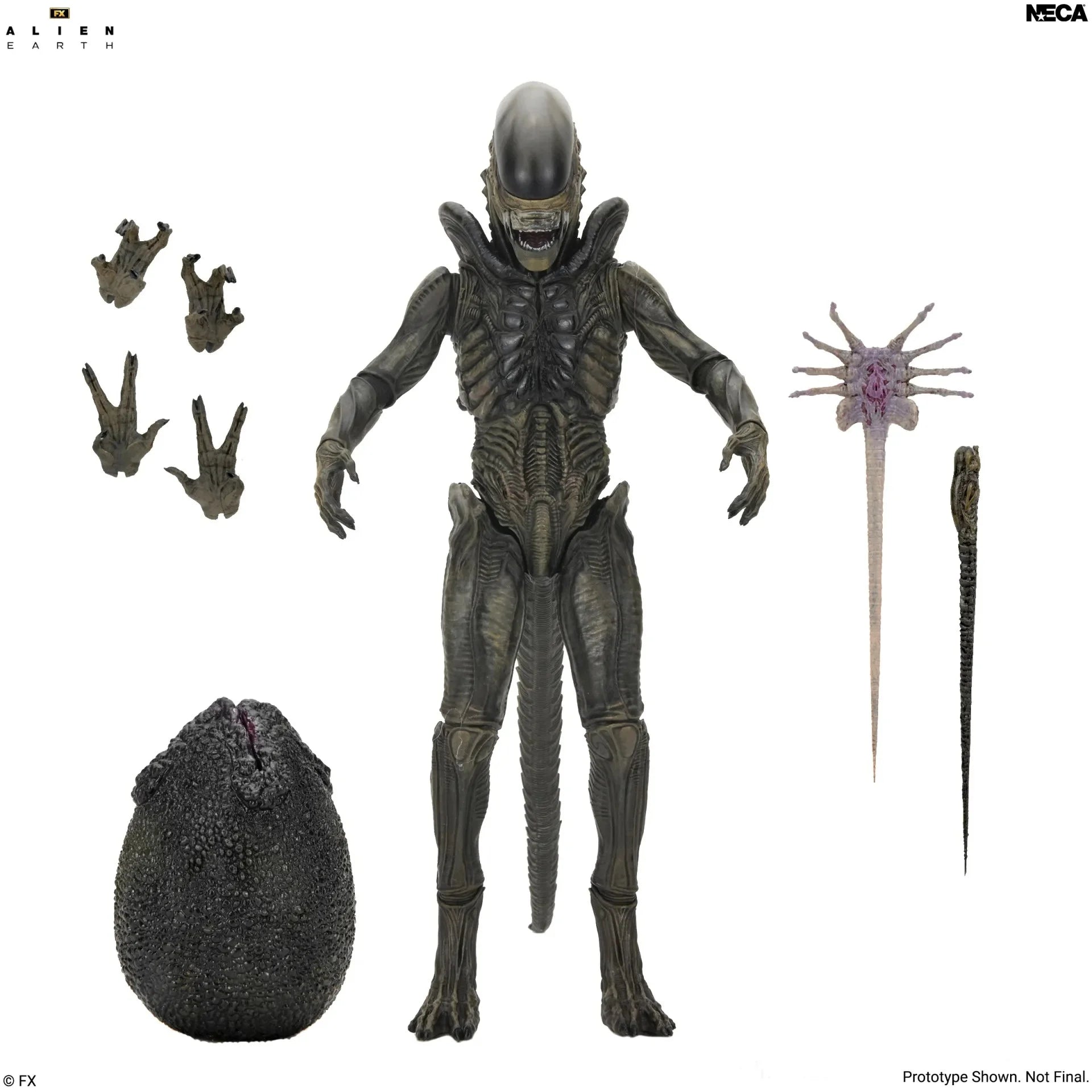 ALIEN EARTH - Xenomorph  - Figure Ultimate 17cm
