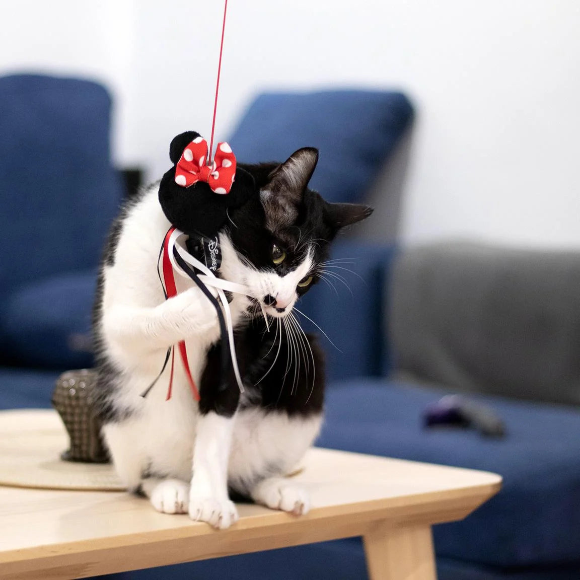 MINNIE - Toy - Cat Fishing Pole
