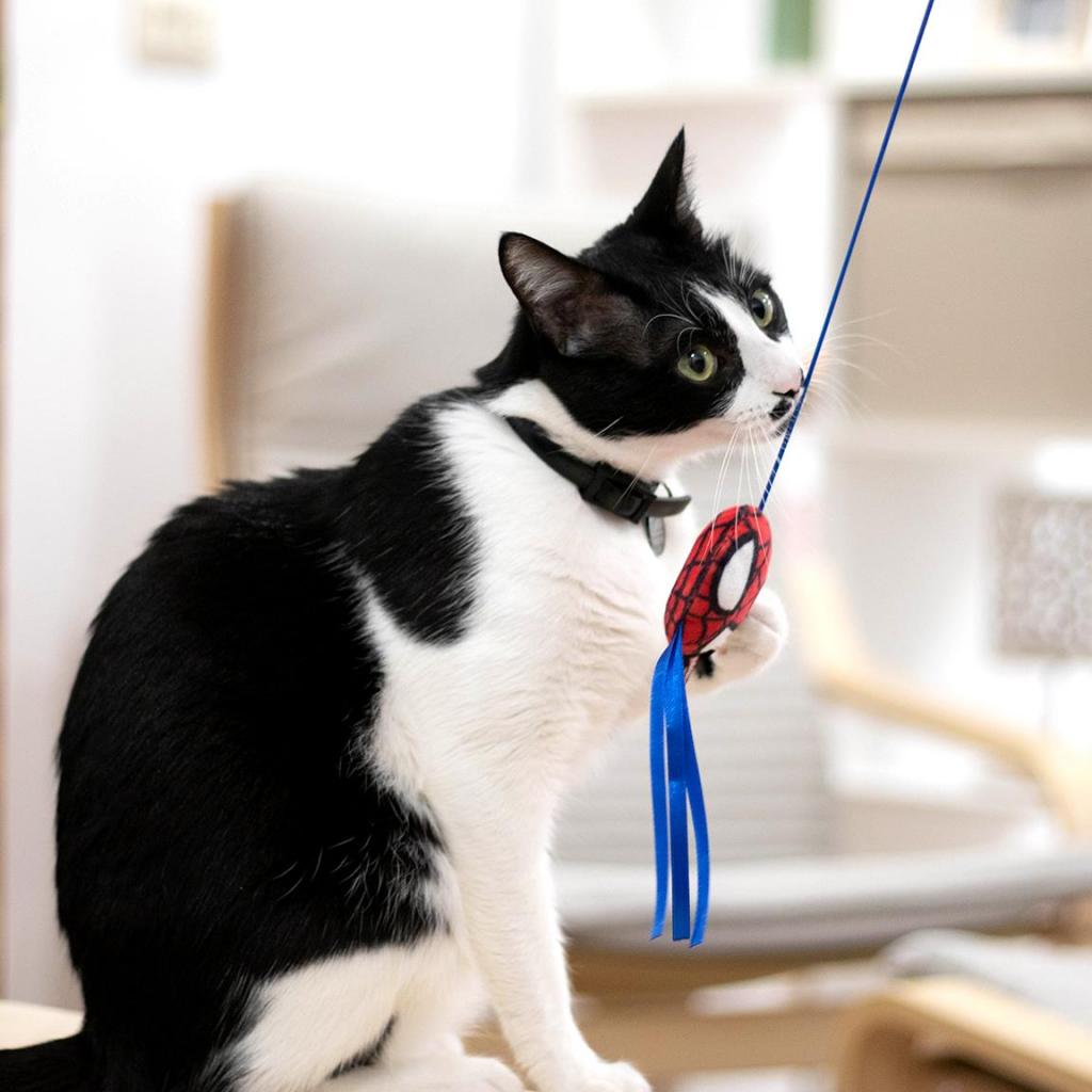 SPIDERMAN - Toy - Cat Fishing Pole