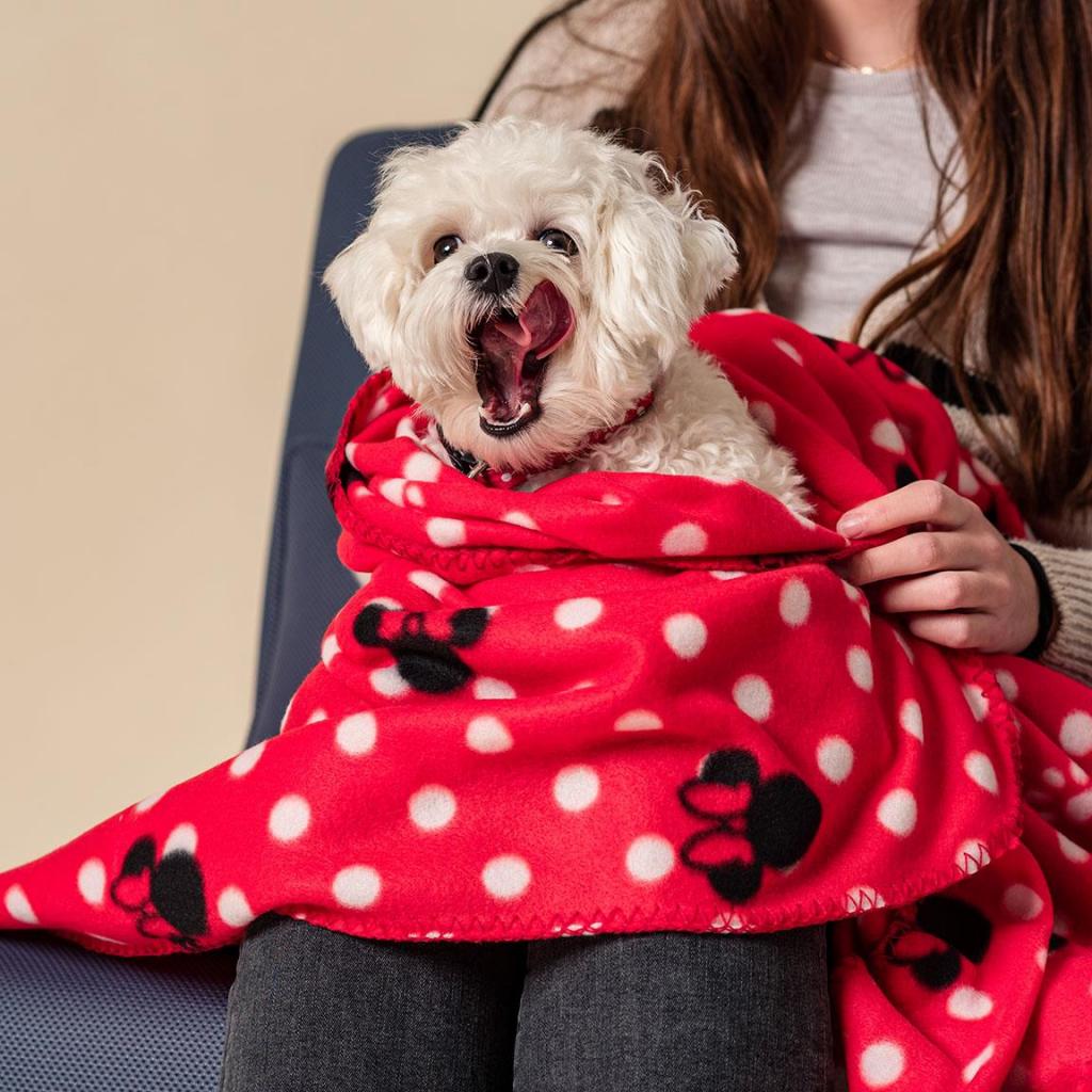 MINNIE - Dog Blanket 100X150 CM