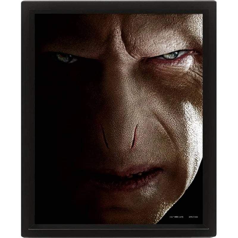 HARRY POTTER - Harry vs Voldemort - 3D Lenticular Poster 26x20cm