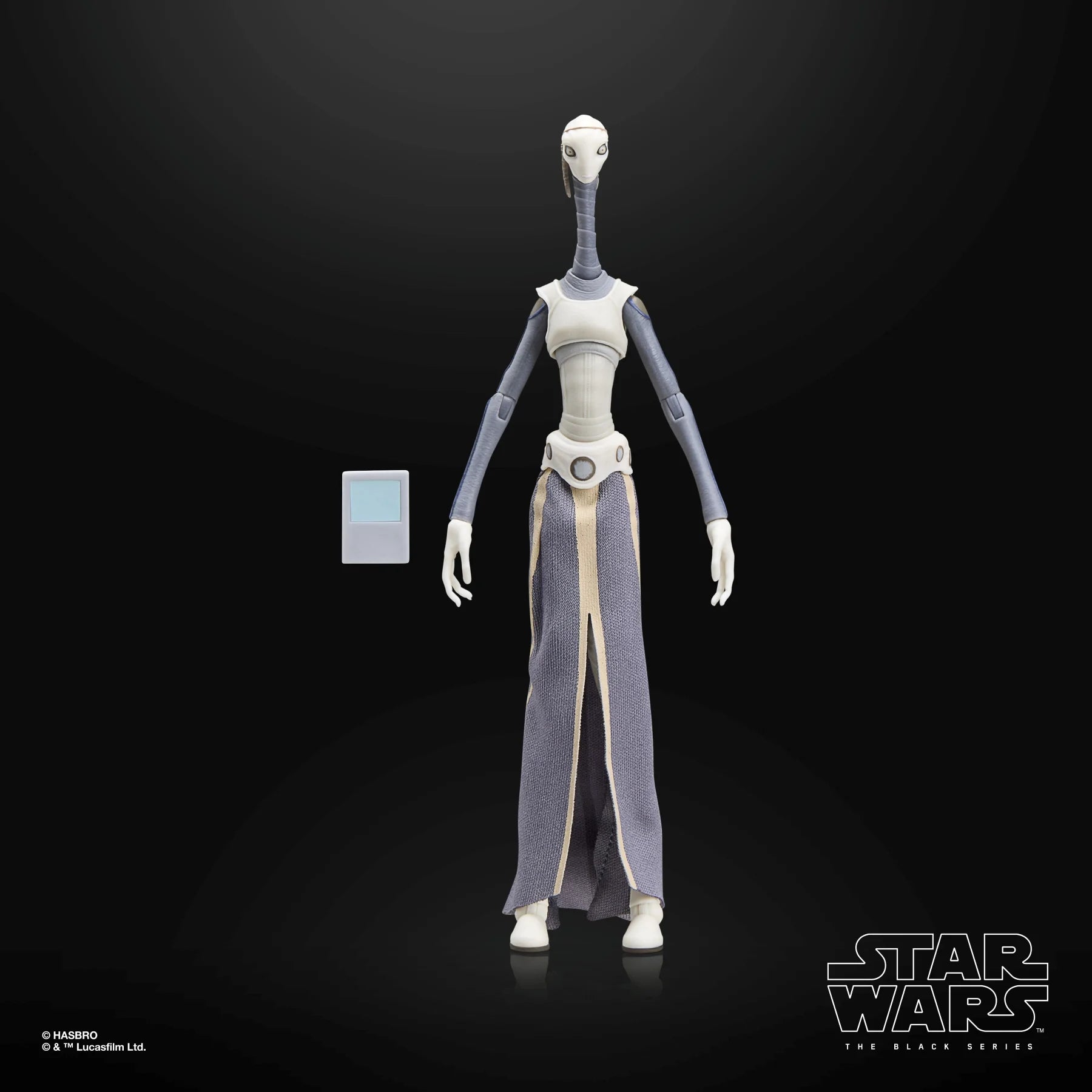 STAR WARS 2 - Taun We - Figure Black Series 15cm
