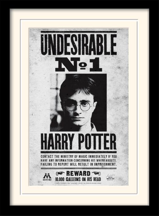 HARRY POTTER - Mounted & Framed 30X40 Print - Undesirable No1