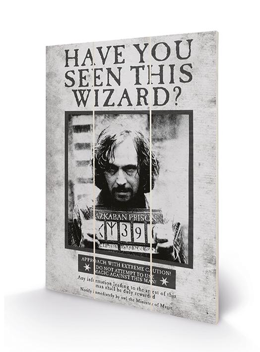 HARRY POTTER - Wood Print 20x29.5 - Sirius Wanted