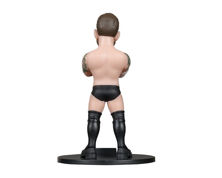 WWE - CM Punk - Figure Minix 12cm