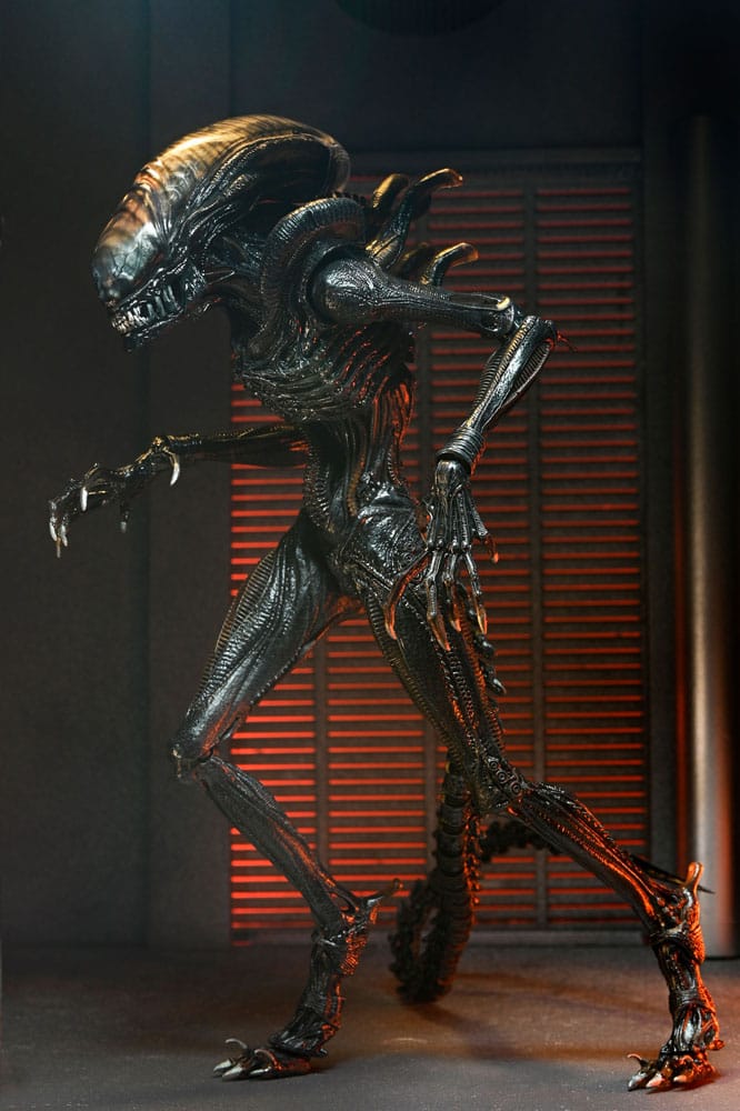 ALIEN ROMULUS - Scorched Xenomorph - Ultimate Figurine 18cm