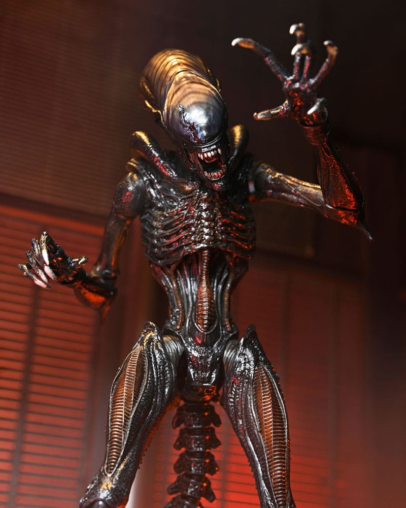 ALIEN ROMULUS - Scorched Xenomorph - Ultimate Figurine 18cm