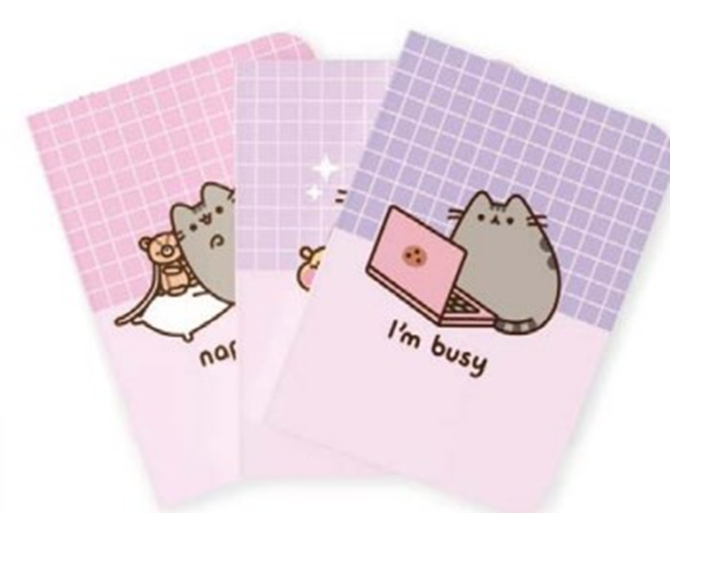 PUSHEEN - 3 Pack of Notebooks - Size A5