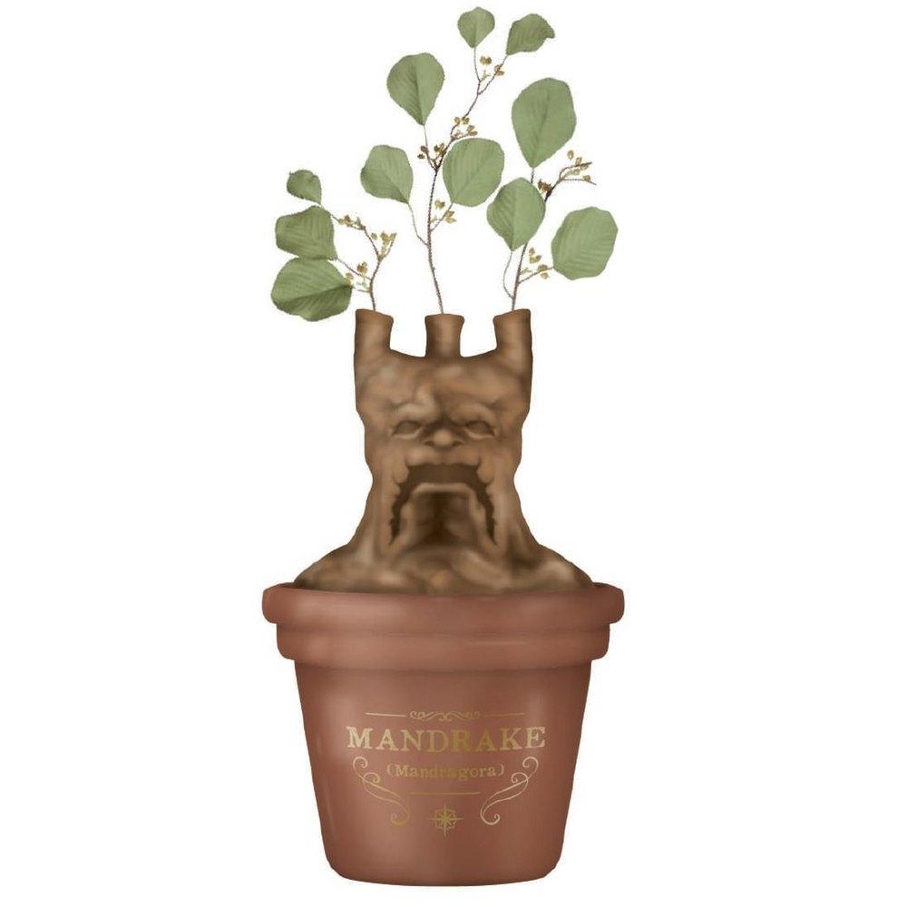 HARRY POTTER - Mandrake - Table Top Vase