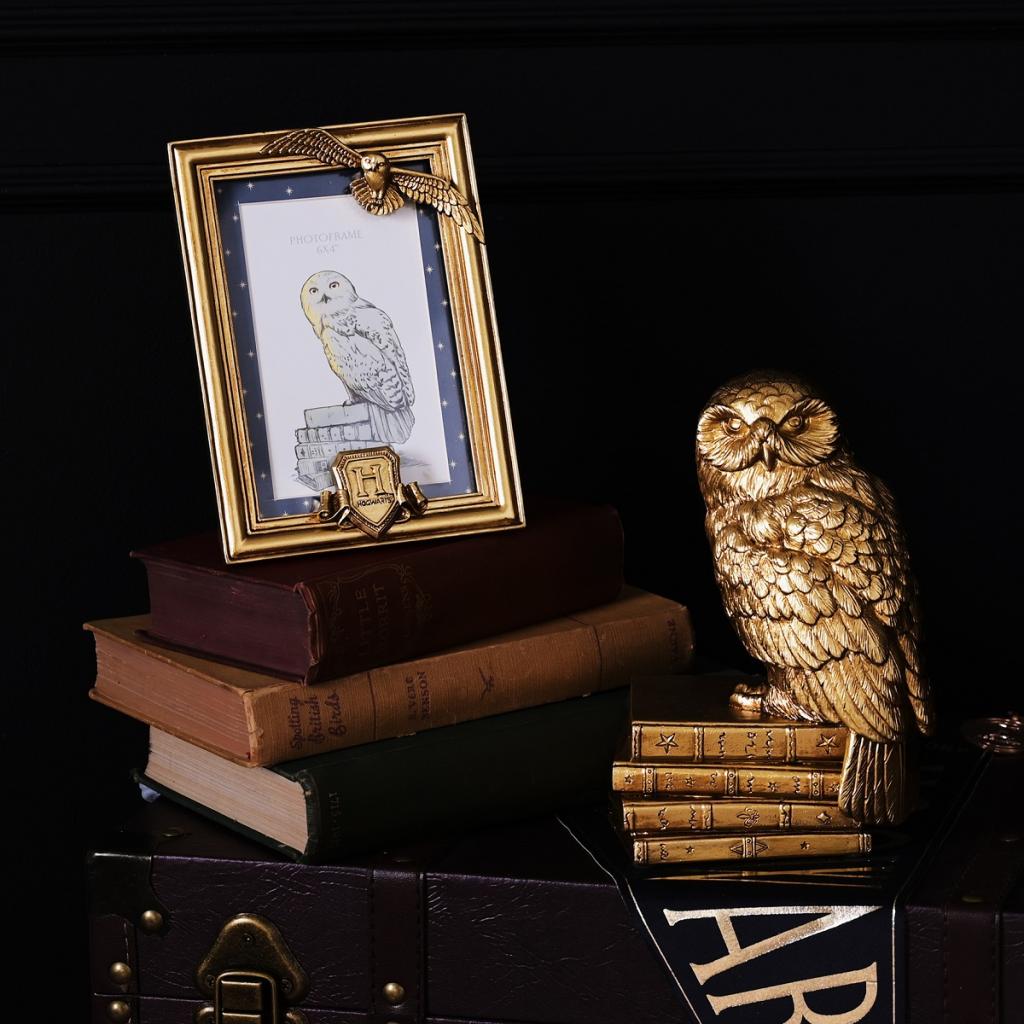 HARRY POTTER - Hedwig - 3D Photo Frame