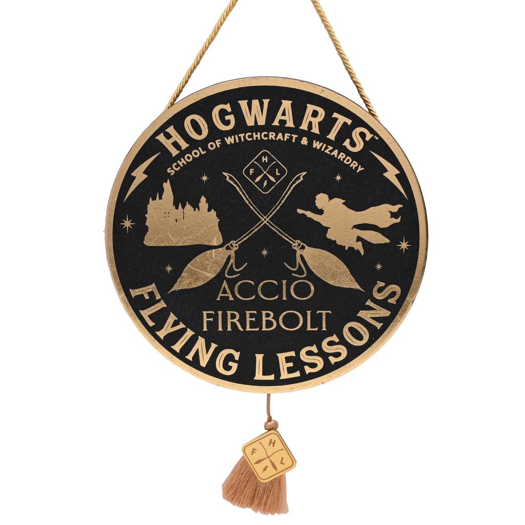 HARRY POTTER - Flying Lesson - Wall Decoration