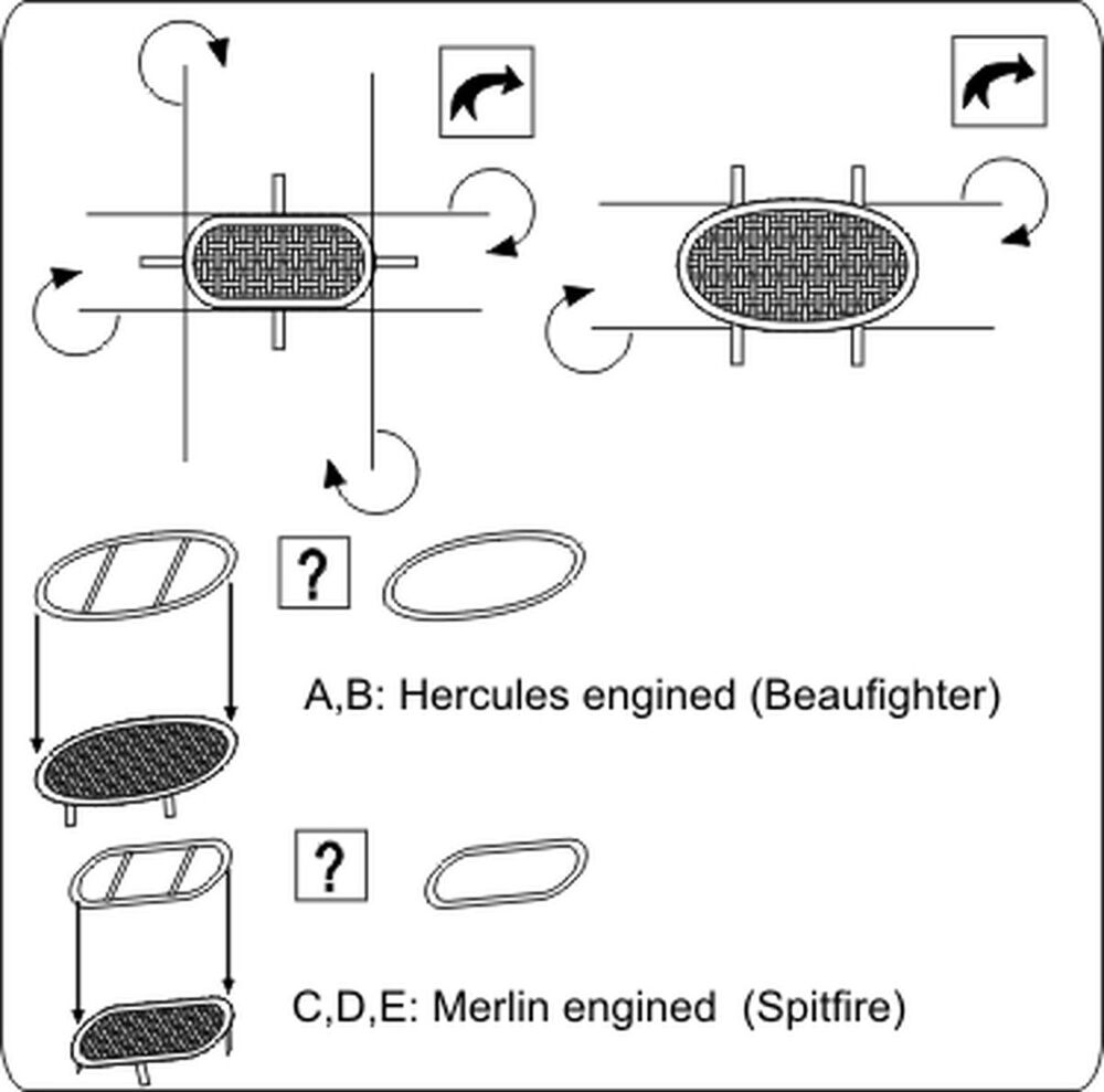 Intake guards RAF (air-intake meshes)