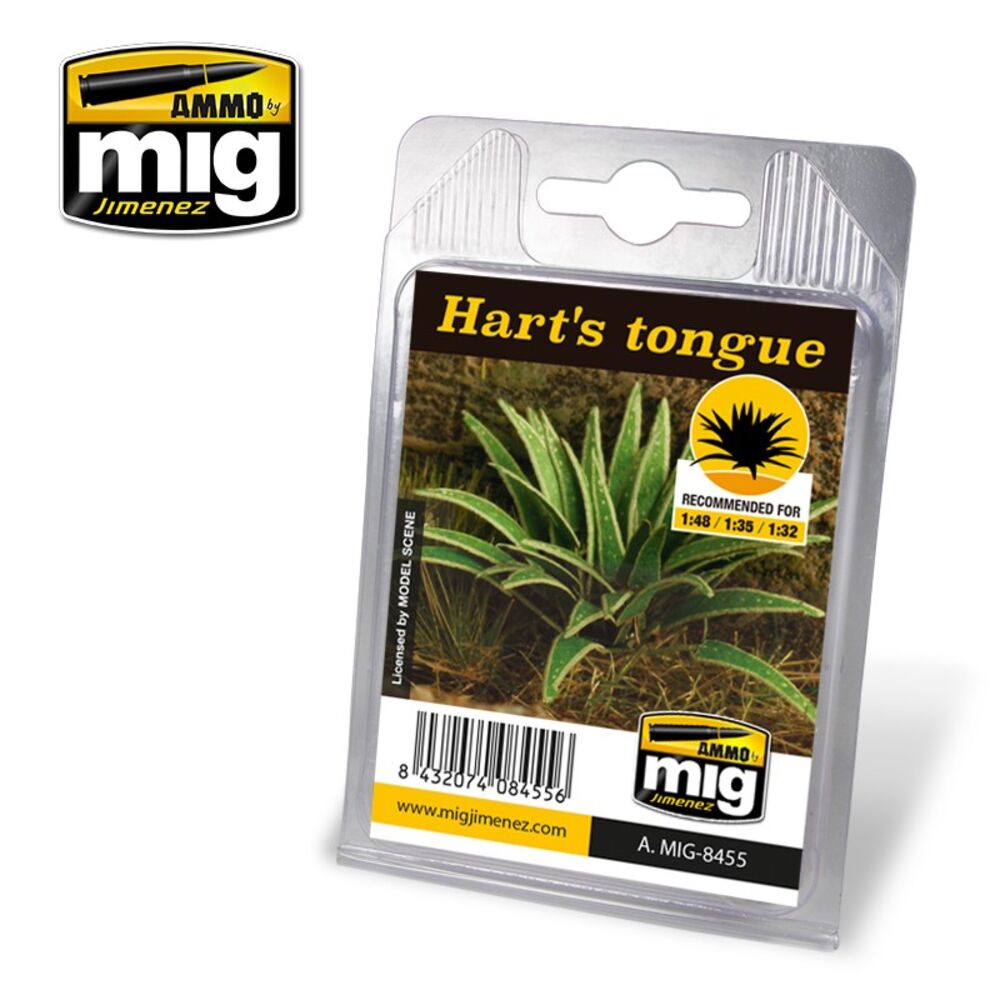 Hart's Tongue