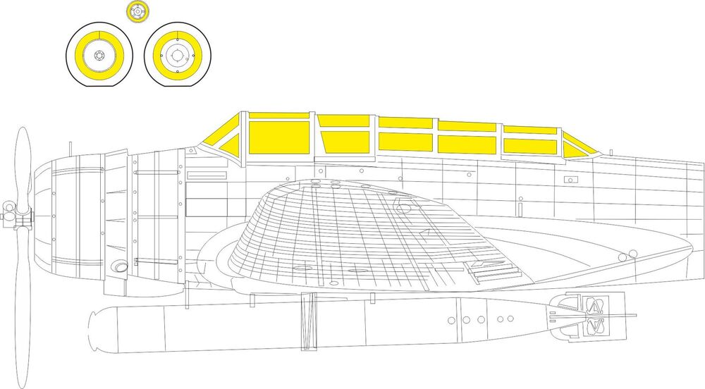 B5N2 TFace  BORDER MODEL