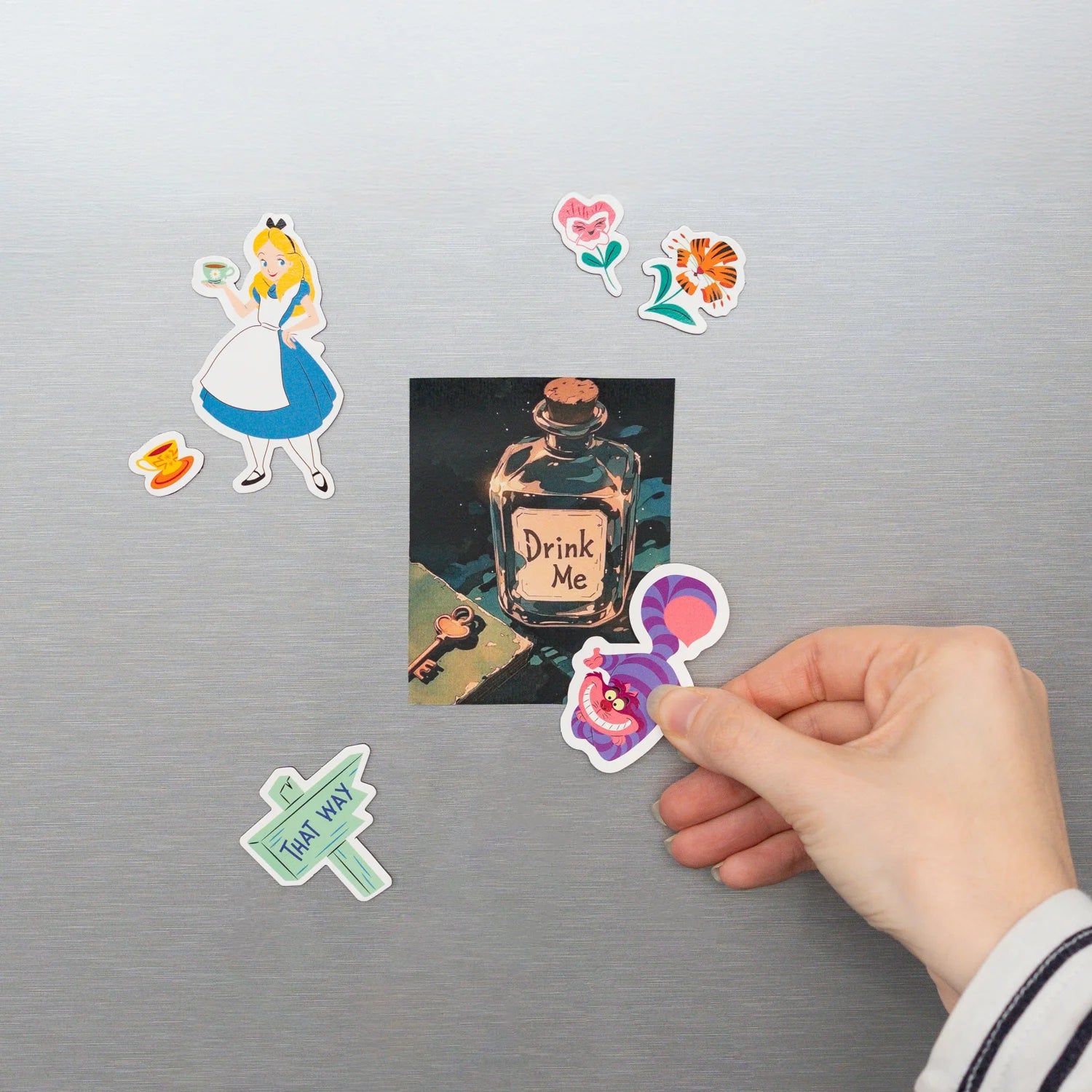 ALICE IN WONDERLAND - Cheshire Cat - Magnets Set