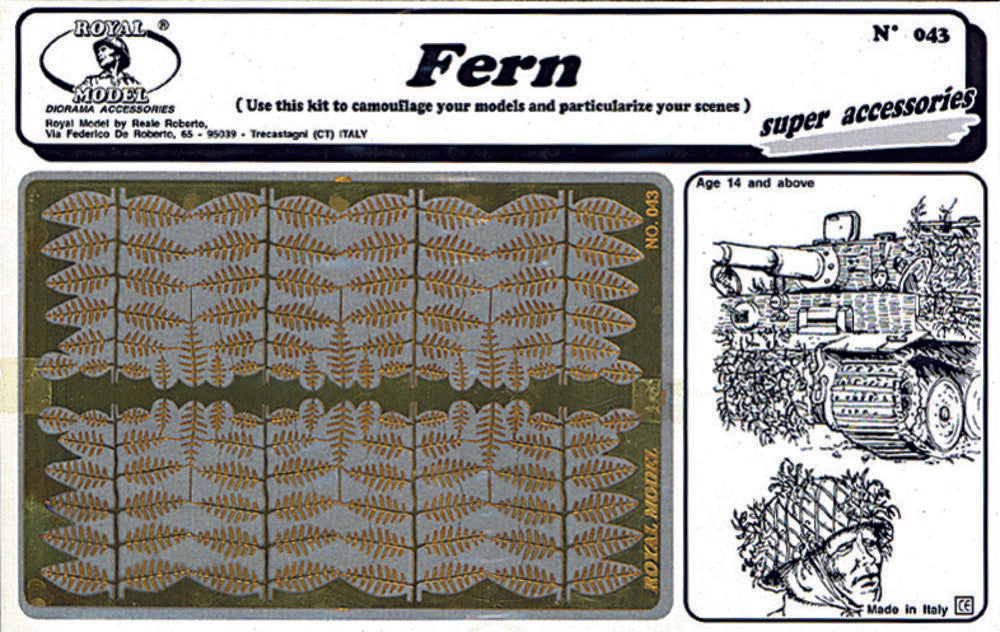 Fern