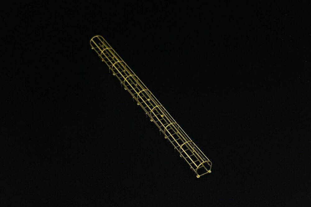 Safety cage ladders