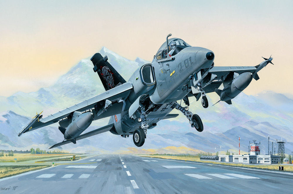 AMX Ground Attack Aircraft