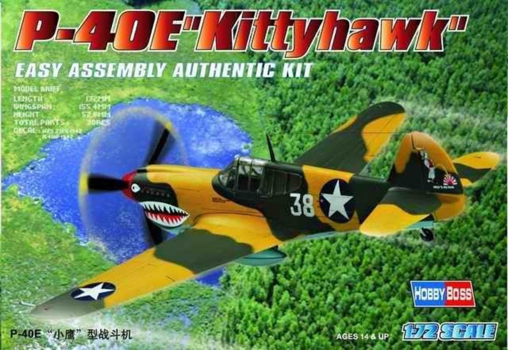 P-40E ''Kitty hawk''