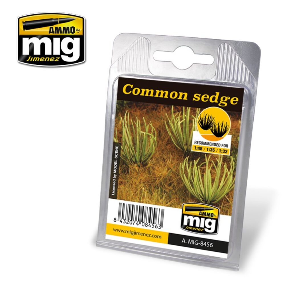 Common Sedge