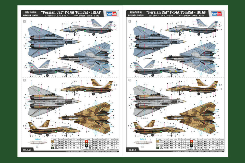 Persian Cat F-14A TomCat-IRIAF