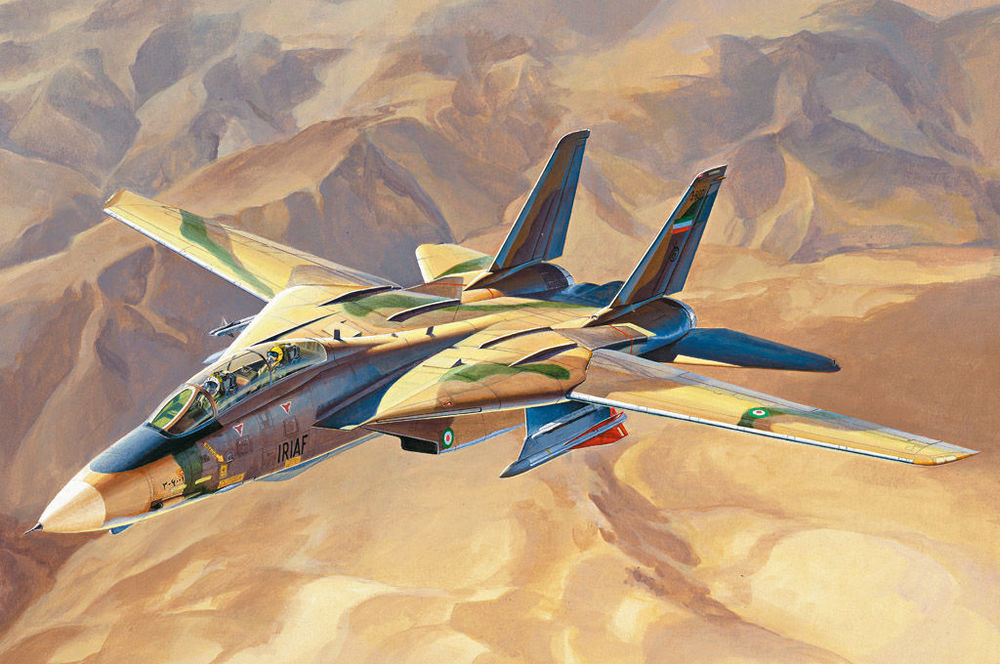 Persian Cat F-14A TomCat-IRIAF