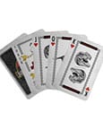 Jurassic Park Playing Cards Gift Shop Display (12)