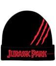 Jurassic Park  Beanie