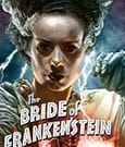 Bride of Frankenstein Art Print Bride of Frankenstein (Color Variant) by Ruiz Burgos 61 x 46 cm - unframed