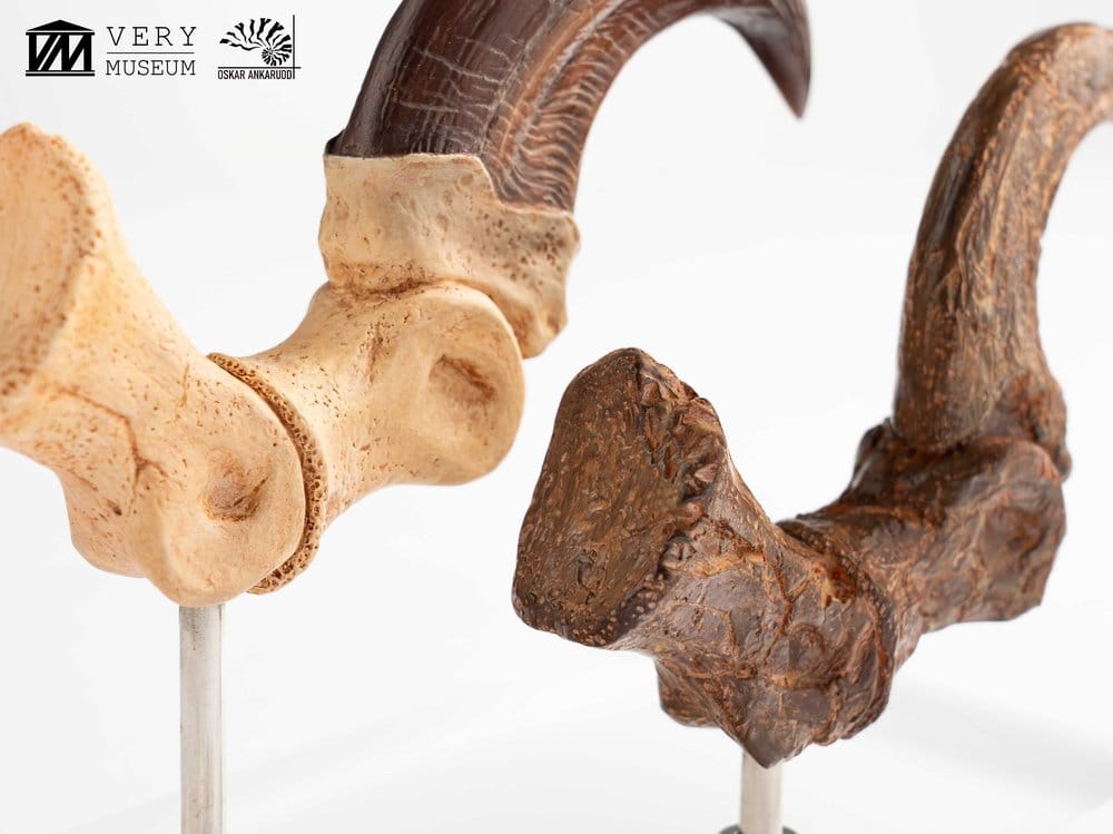 Jurassic Park ECC Elite Creature Line Statue Velociraptor Foot Claw and Fossil Claw Set 20 cm