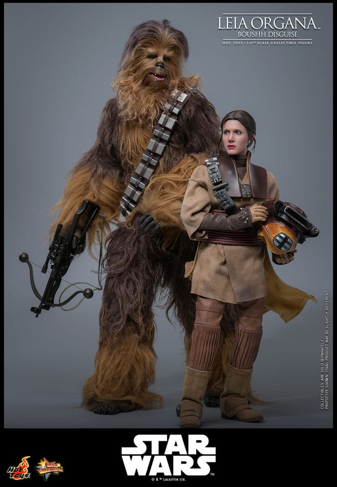 Star Wars Episode VI Movie Masterpiece Action Figure 1/6 Leia Organa (Boushh Disguise) 27 cm